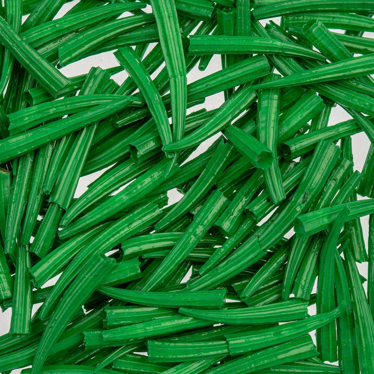 0.5 to 1 Inch Green Oil Painted/Water Resistant Dentalium Shell RIDGED (30g) Dentalium Shell