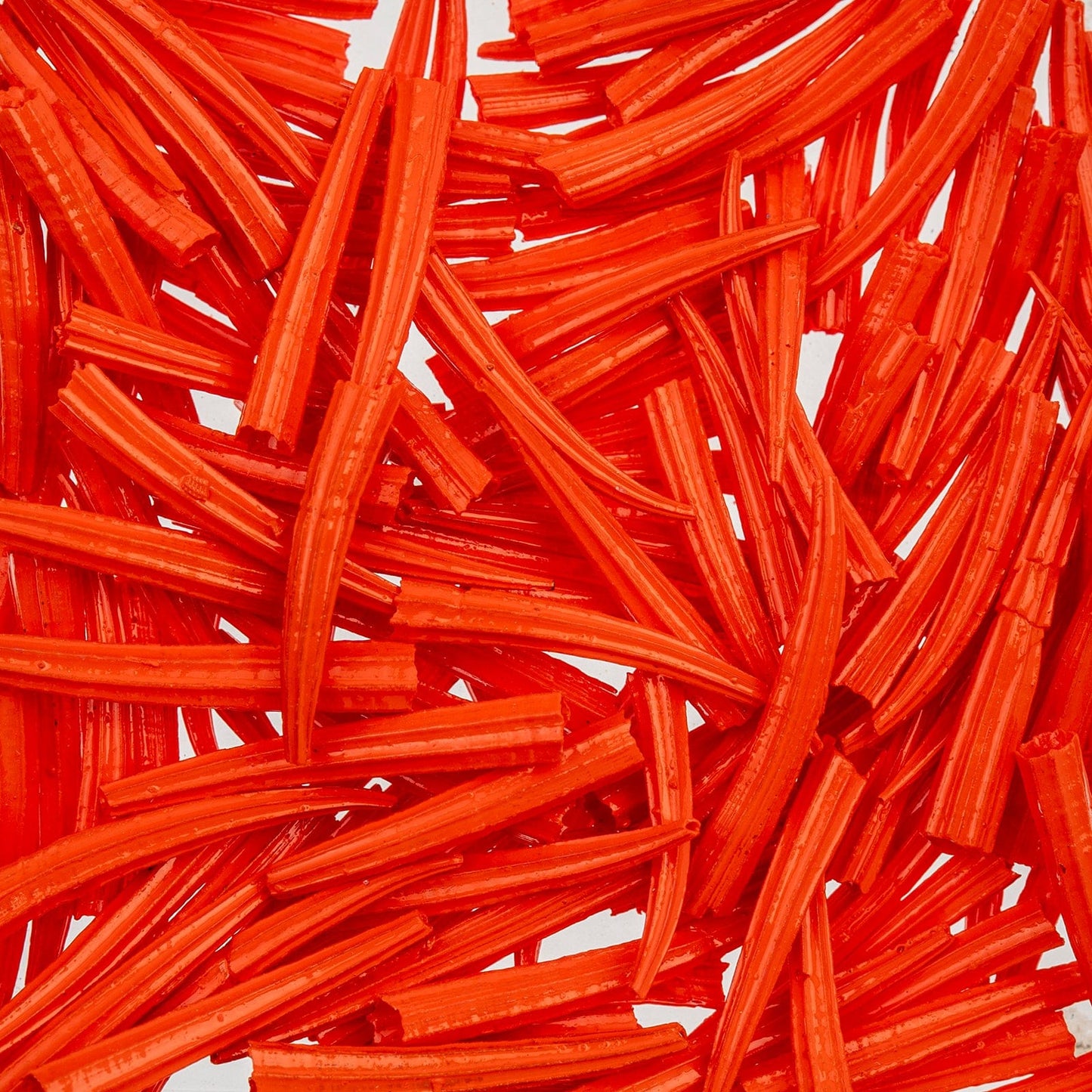 0.5 to 1 Inch Orange Oil Painted/Water Resistant Dentalium Shell RIDGED (30g) Dentalium Shell