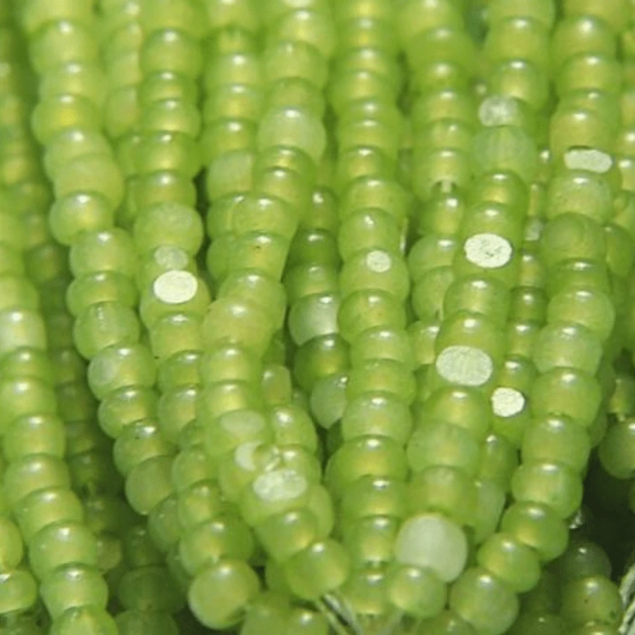 11/0 Charlotte Cut Seed Bead- Opal Kelly Green *10g Hank* Charlotte Cut Seedbeads