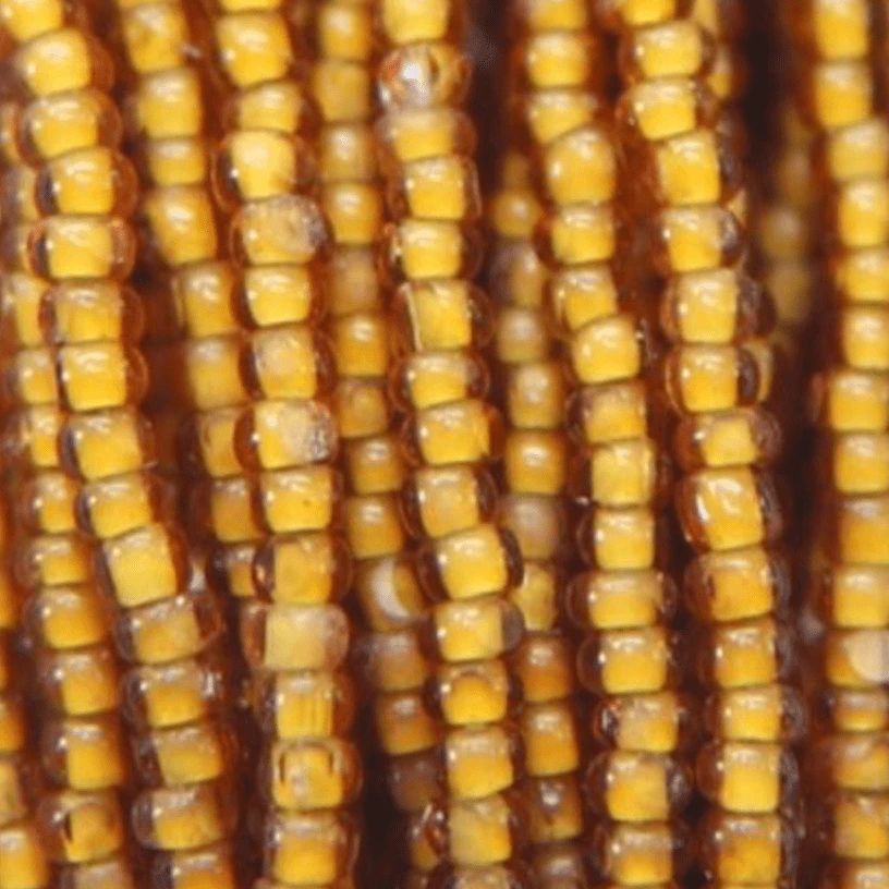 11/0 Charlotte Cut Seed Bead- White Colour Lined Smoked Topaz *10g Hank* Charlotte Cut Seedbeads