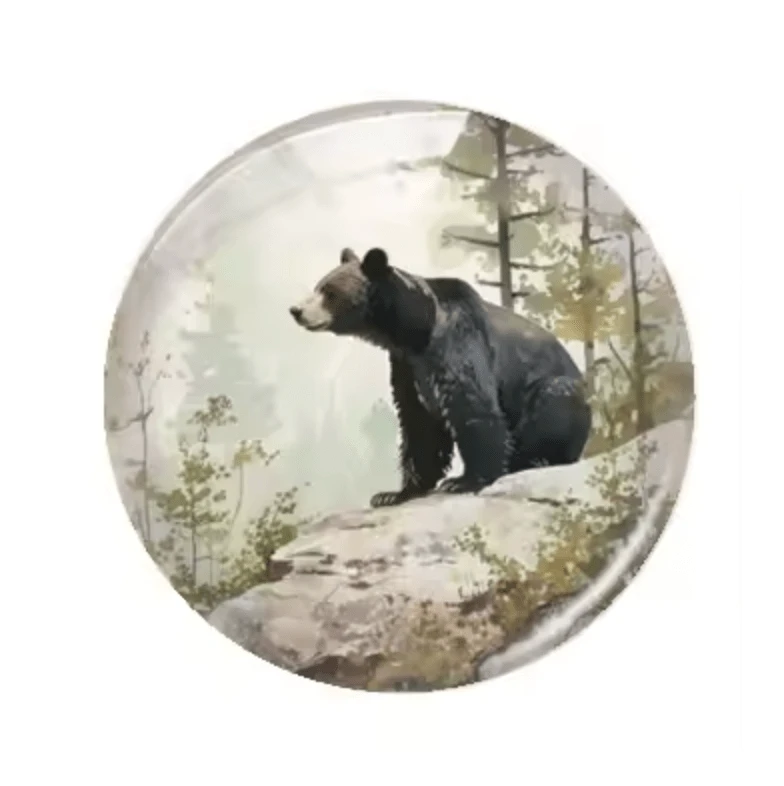 20mm "Mama Bear" Cute Cartoon Printed Cab, Glue on, Resin Gems (Sold in pair) Resin Gems