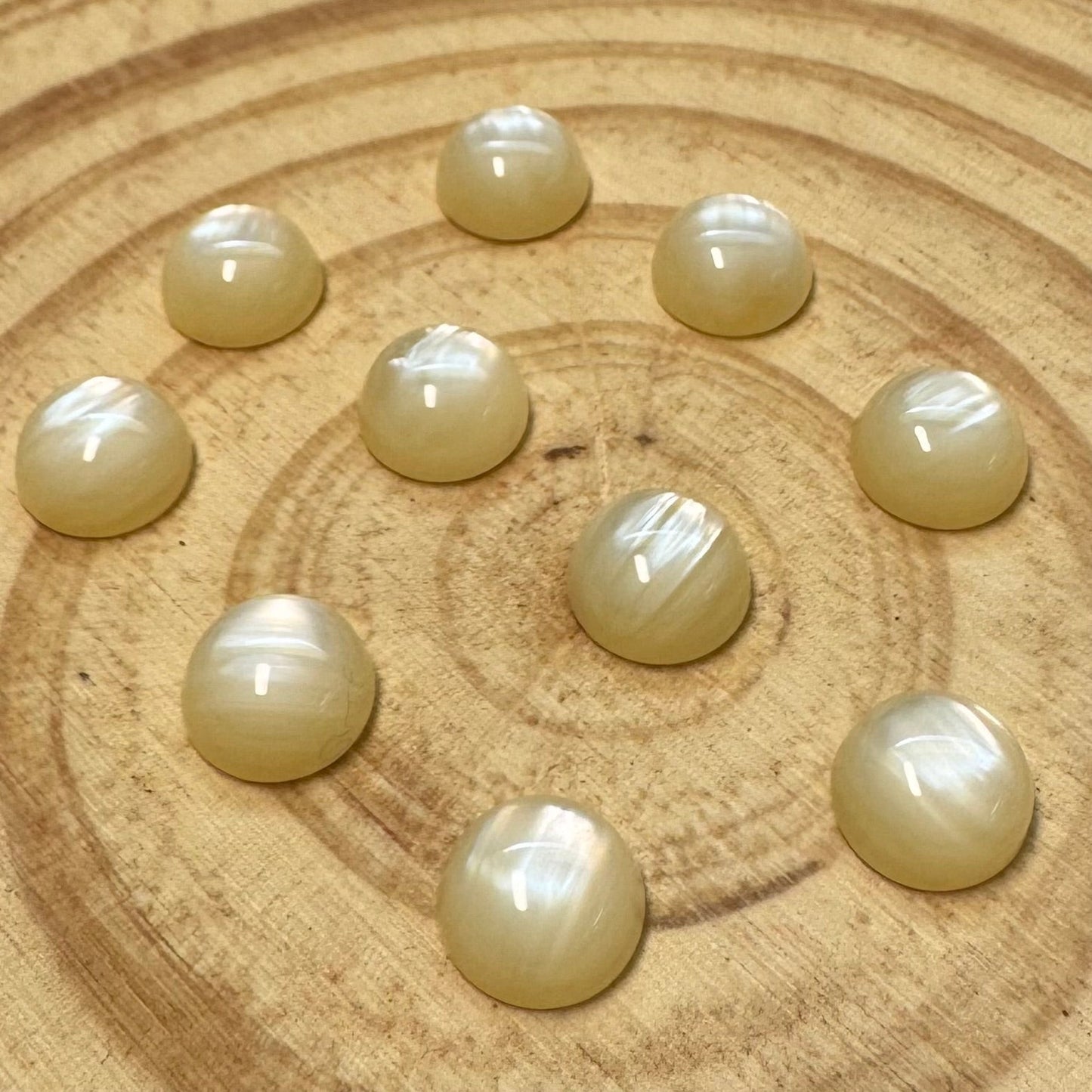 10mm Champagne Ivory Cat’s Eye Round, Glue On, Resin Gem, (Sold in Pair) Sundaylace Creations & Bling