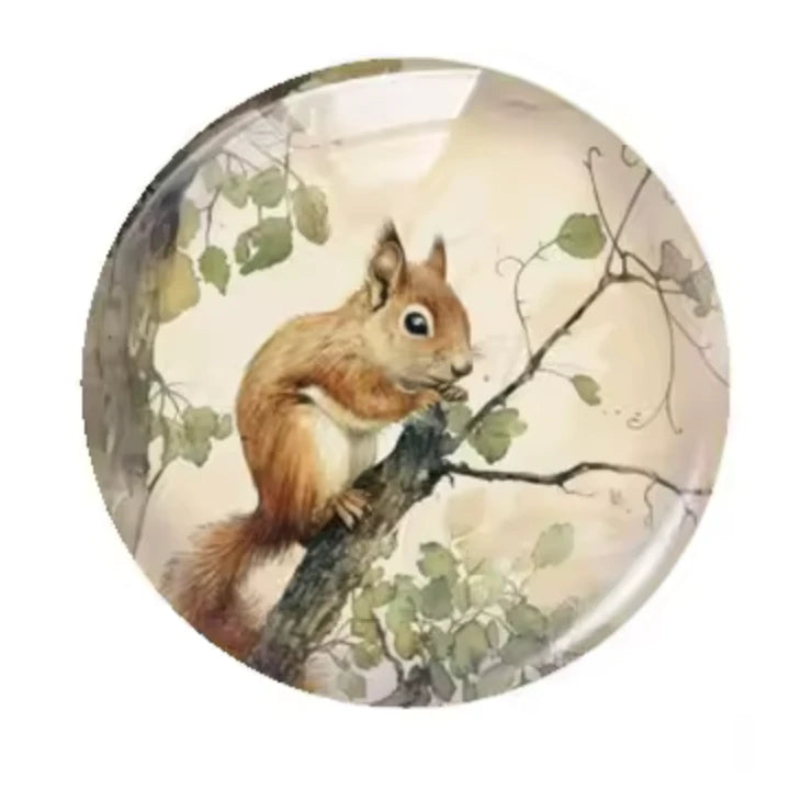 20mm "Squirrel" Cute Cartoon Printed Cab, Glue on, Resin Gems (Sold in pair) Sundaylace Creations & Bling