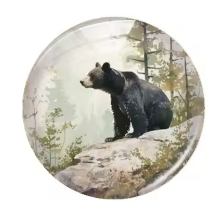 20mm Bear in Woods Cartoon Printed Cab, Glue on, Resin Gems (Sold in pair) Sundaylace Creations & Bling