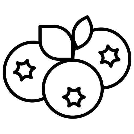 "Blueberry" New Beader Starter Kits with Pattern, Promotions Promotions