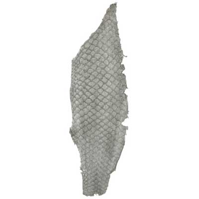 Second Skin 100% Fish Leather 10in Light Grey Suede- Pelt/Hide Basics Basics