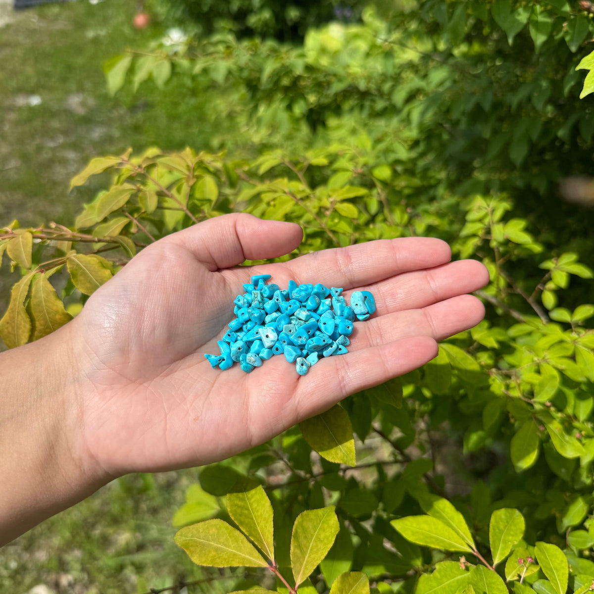 Semi-Precious Chips 22g - Turquoise Blue Pearl Beads