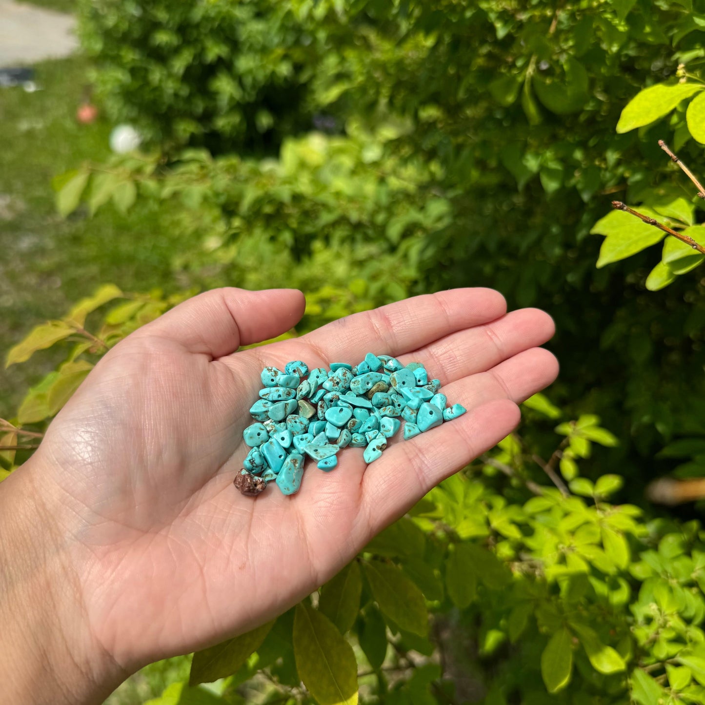 Semi-Precious Chips 22g - Turquoise Green Pearl Beads