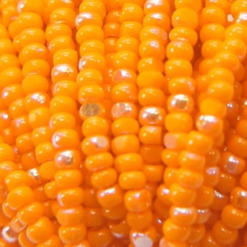 11/0 Charlotte Cut *Premium SHEEN India Seed Bead- Opaque Patina Light Orange Aurore Boreale (AB) *10g Hank* Charlotte Cut Seedbeads