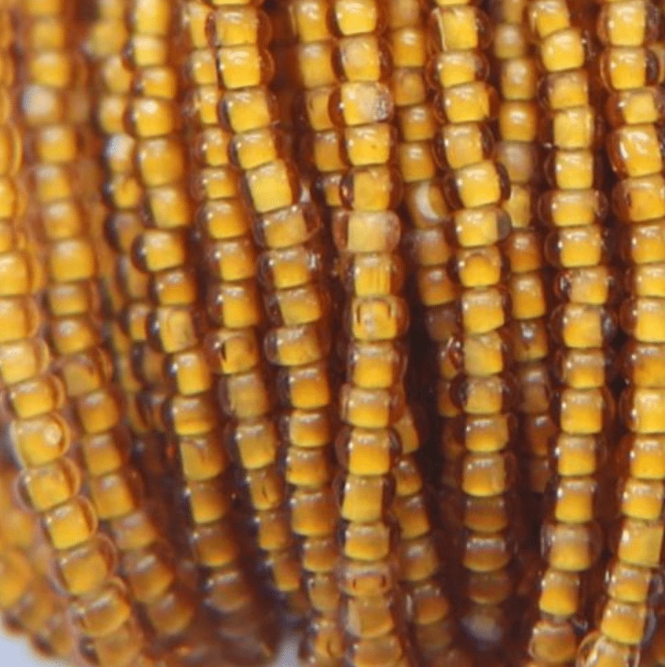 11/0 Charlotte Cut Seed Bead- White Lined Topaz Yellow *10g Hank* Charlotte Cut Seedbeads