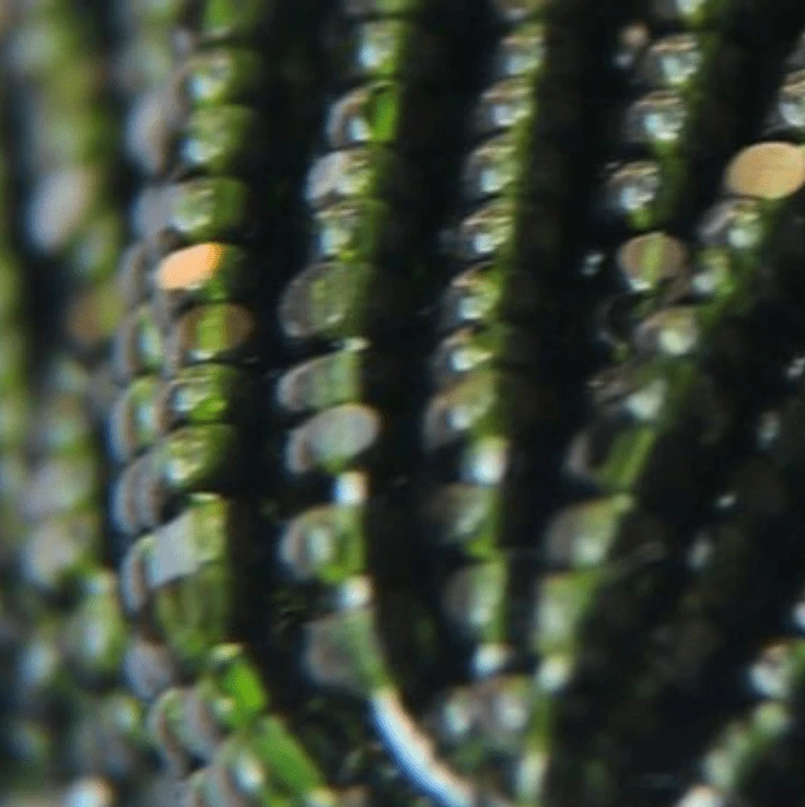 11/0 Charlotte Cut SHEEN India Seed Bead- Transparent Dark Olivine Green *10g Hank* Charlotte Cut Seedbeads