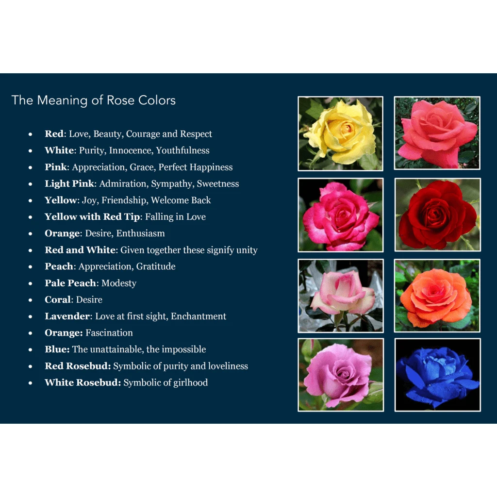 Sundaylace Creations & Bling Resin Gems 12mm Pearl Roses Floral, Flat Back, Glue On Resin Gem