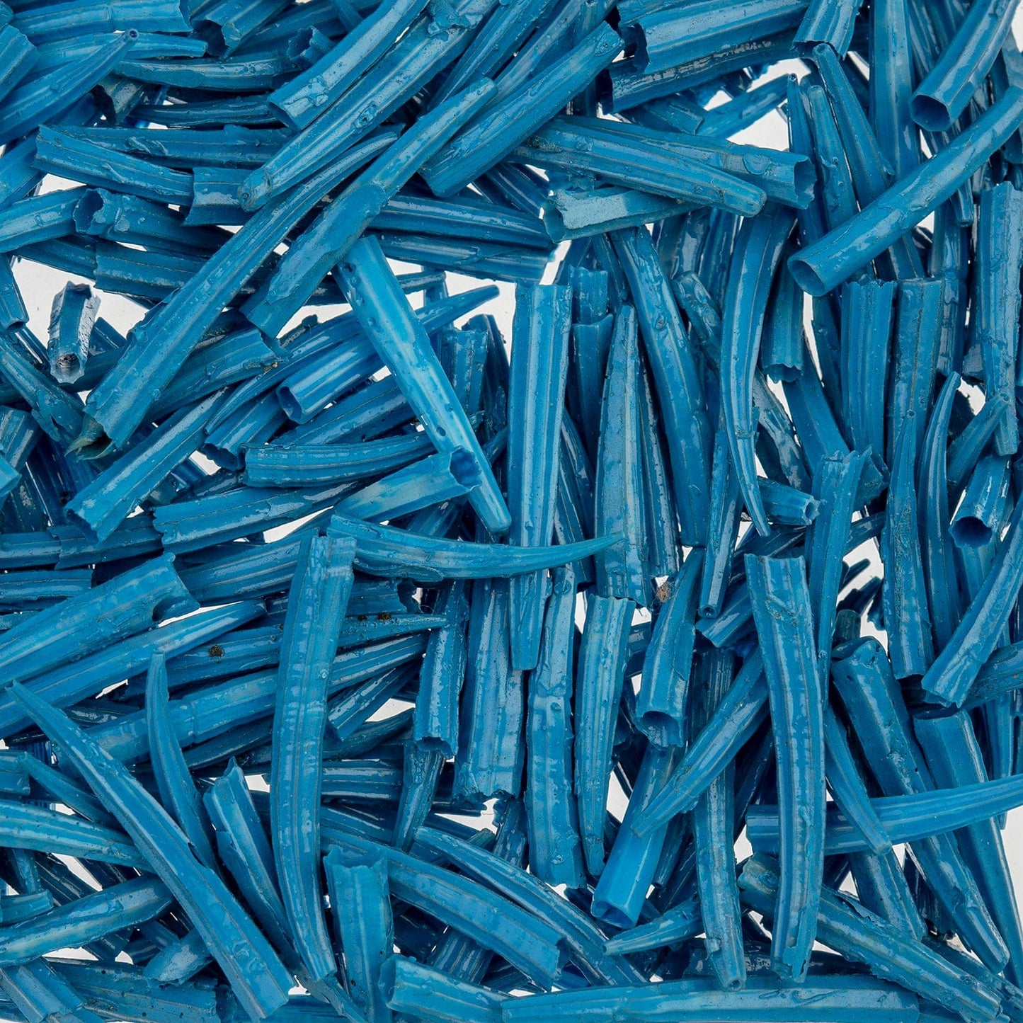 0.5 to 1 Inch Blue Oil Painted/Water Resistant Dentalium Shell RIDGED (30g) Dentalium Shell