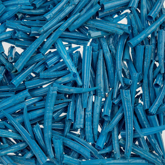 0.5 to 1 Inch Blue Oil Painted/Water Resistant Dentalium Shell RIDGED (30g) Dentalium Shell