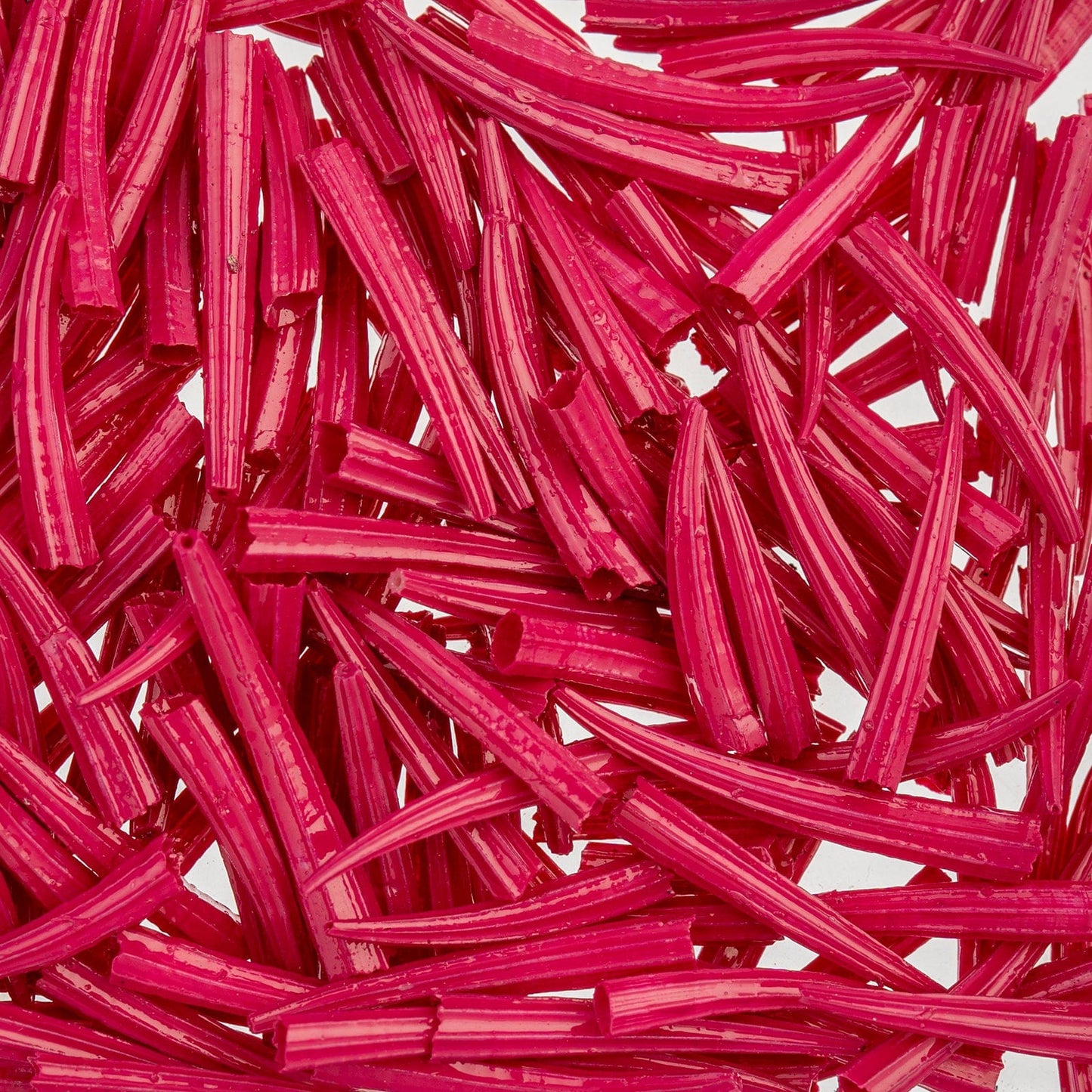 0.5 to 1 Inch Fuchsia Oil Painted/Water Resistant Dentalium Shell RIDGED (30g) Dentalium Shell