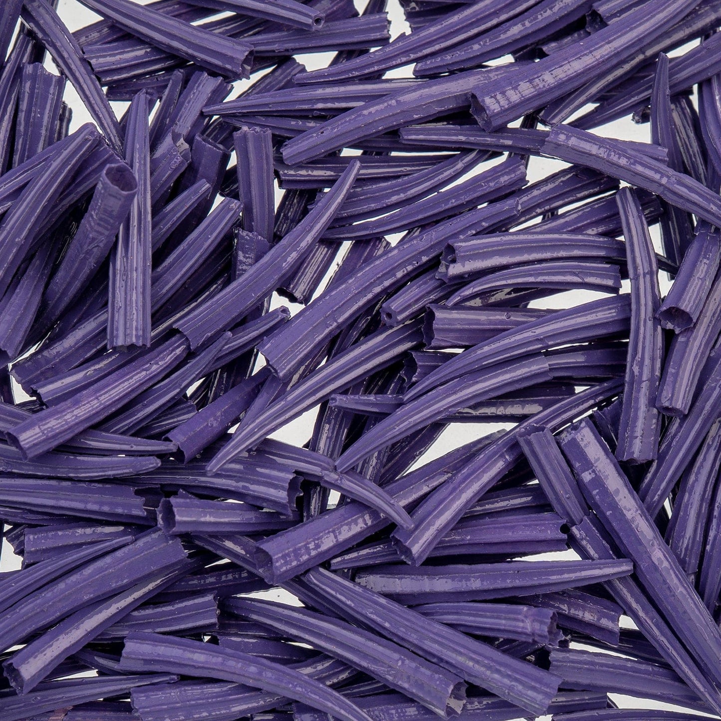 0.5 to 1 Inch Purple Oil Painted/Water Resistant Dentalium Shell RIDGED (30g) Dentalium Shell