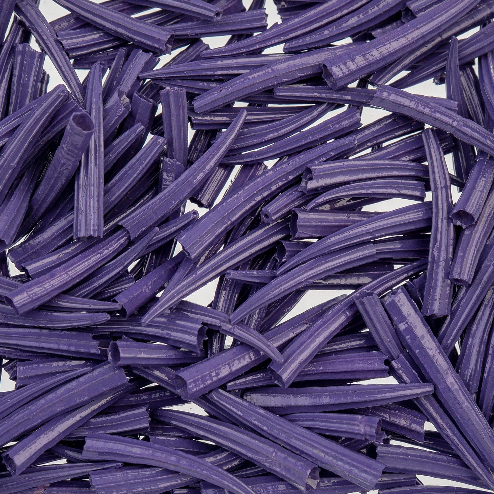 0.5 to 1 Inch Purple Oil Painted/Water Resistant Dentalium Shell RIDGED (30g) Dentalium Shell