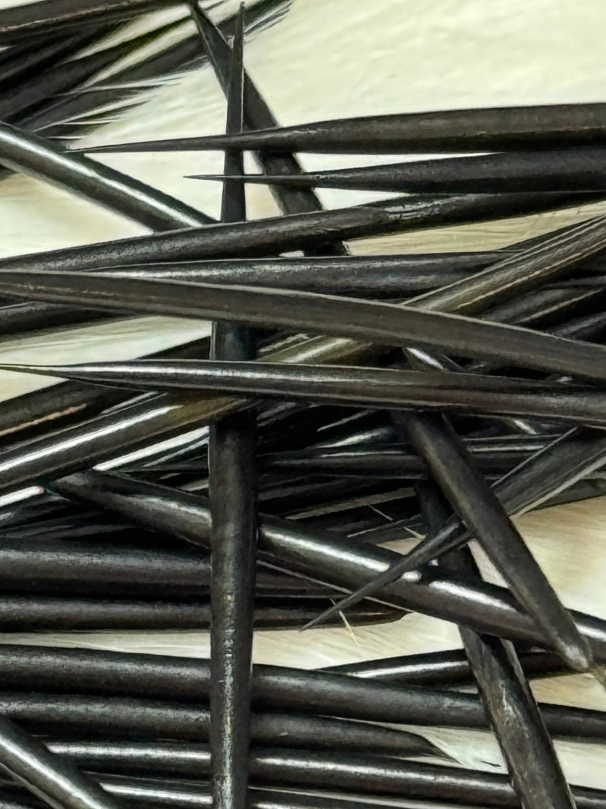 Porcupine Quills - 1g for Quillwork Beading, Basics Caribou Fur
