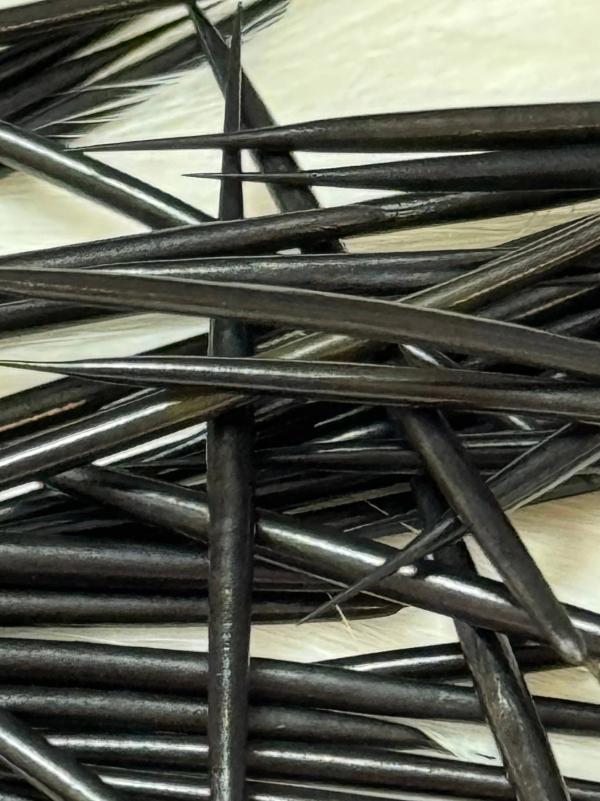 Porcupine Quills - 1g for Quillwork Beading, Basics Caribou Fur