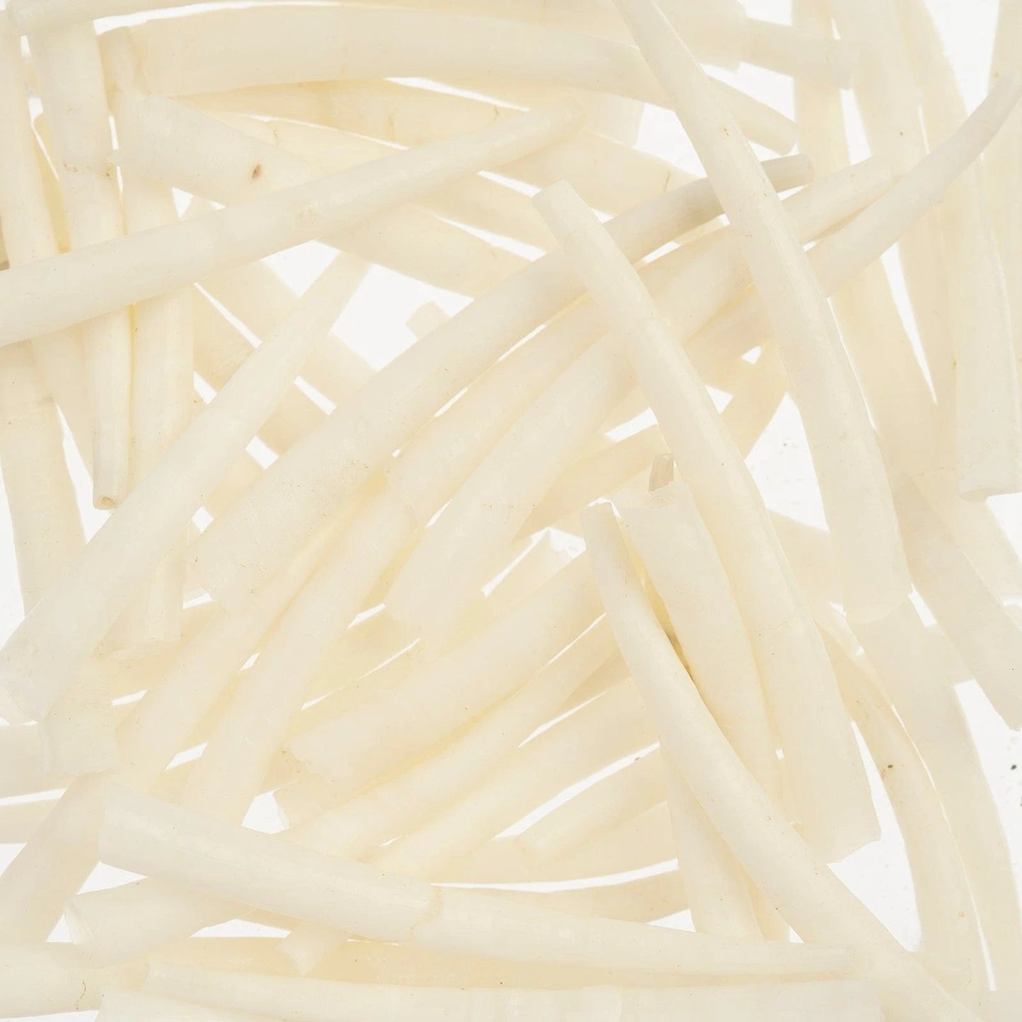 1.5-2 Inch *White/Ivory* Natural Dentalium Shell Smooth (50g) Dentalium Shell