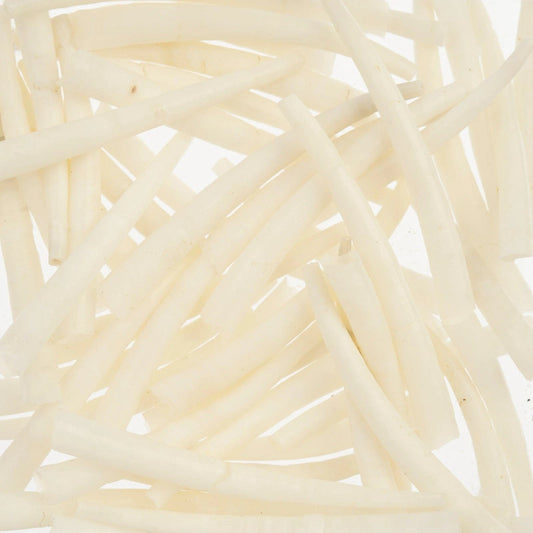 1.5-2 Inch *White/Ivory* Natural Dentalium Shell Smooth (50g) Dentalium Shell