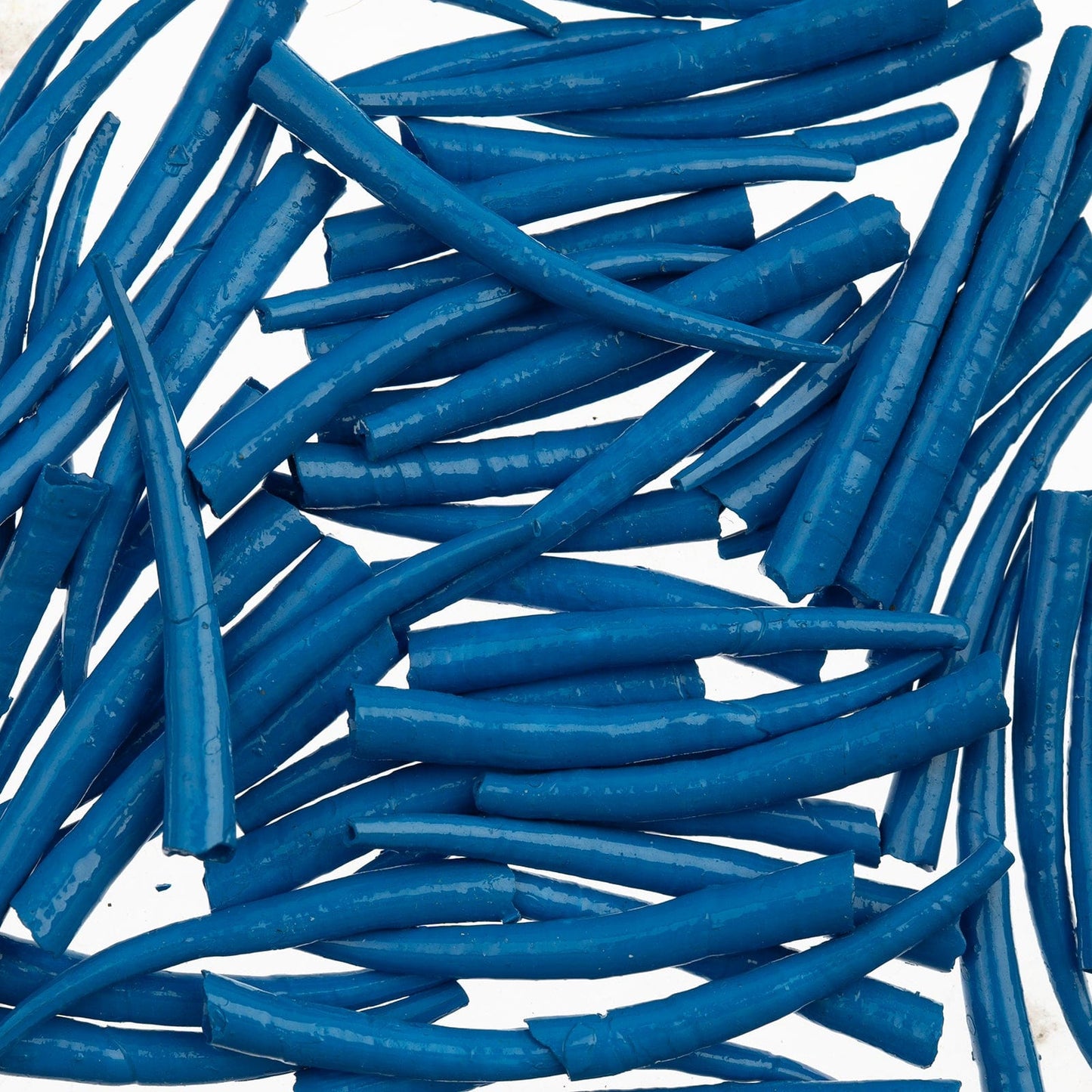 1 to 1.5 Inch Blue Oil Painted/Water Resistant Dentalium Shell Smooth (25g) Dentalium Shell