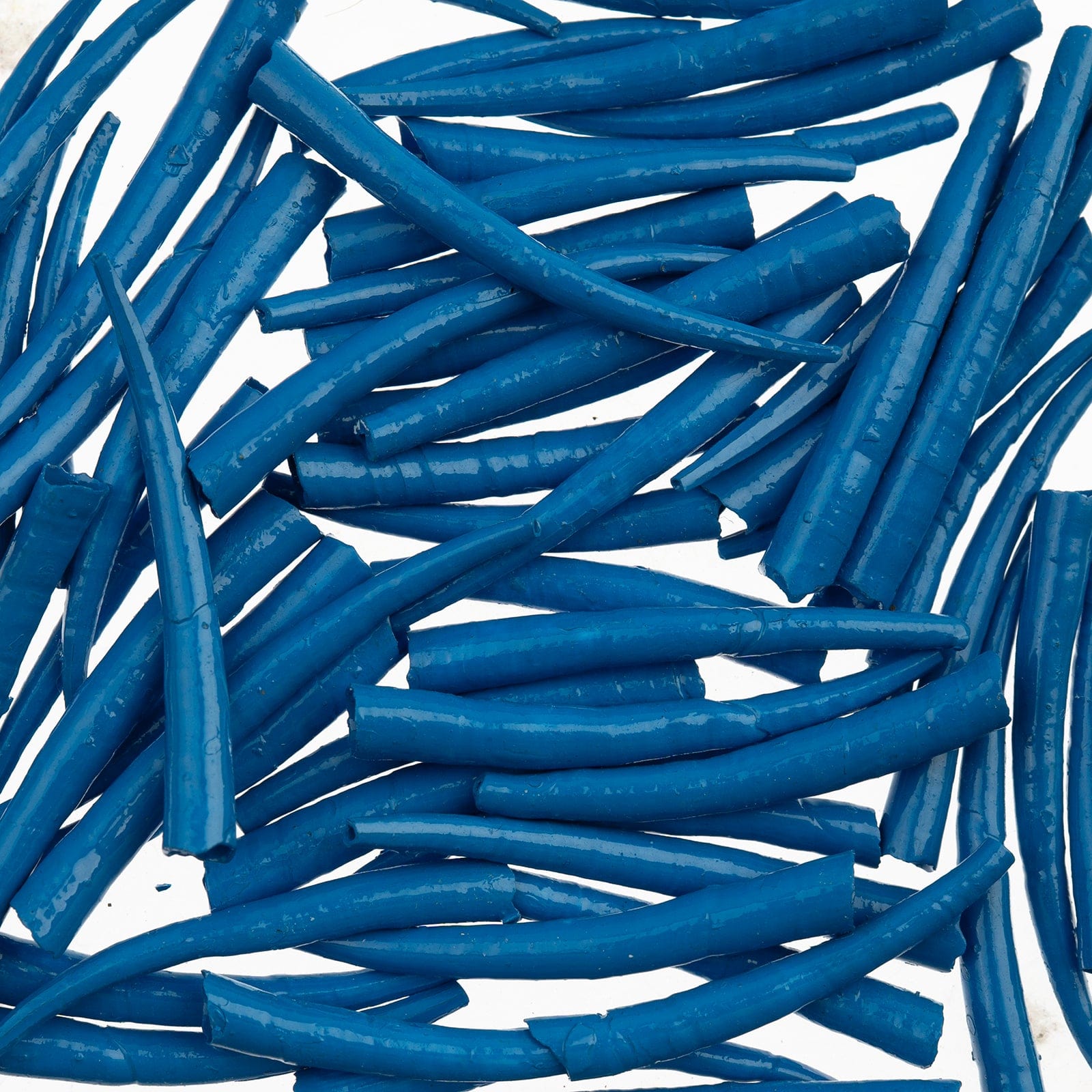 1 to 1.5 Inch Blue Oil Painted/Water Resistant Dentalium Shell Smooth (25g) Dentalium Shell