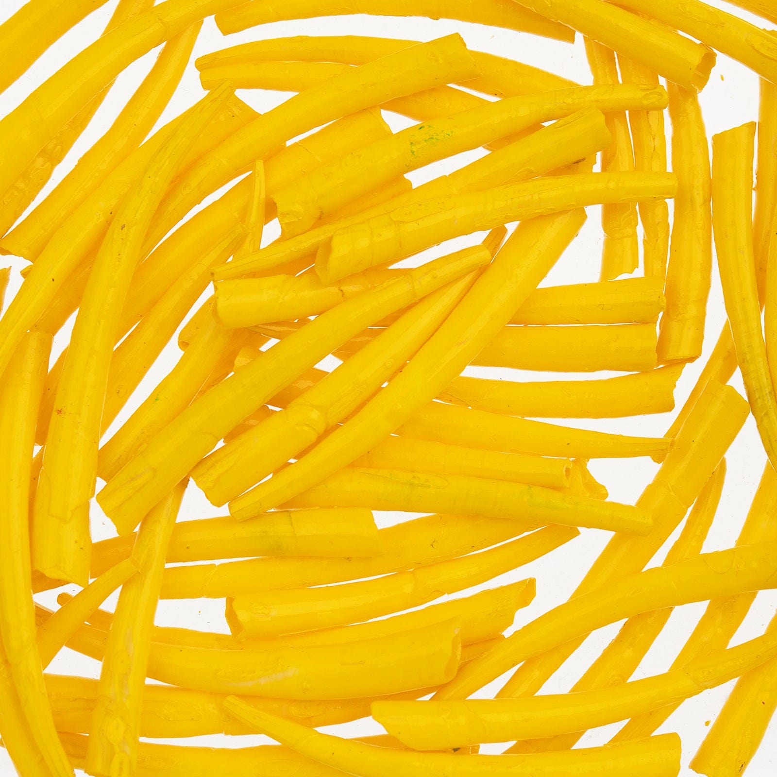 1 to 1.5 Inch Yellow Oil Painted/Water Resistant Dentalium Shell Smooth (25g) Dentalium Shell