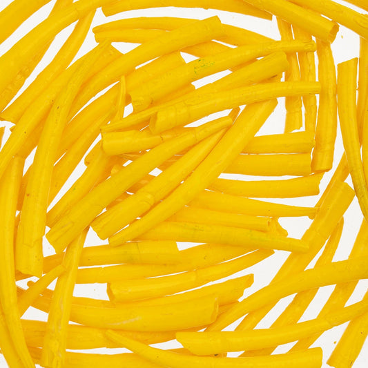 1 to 1.5 Inch Yellow Oil Painted/Water Resistant Dentalium Shell Smooth (25g) Dentalium Shell