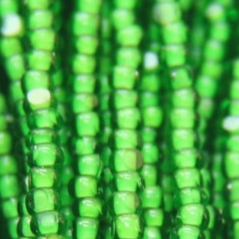 11/0 Charlotte Cut Seed Bead- White Colour Lined Neon Light Green *10g Hank* Charlotte Cut Seedbeads