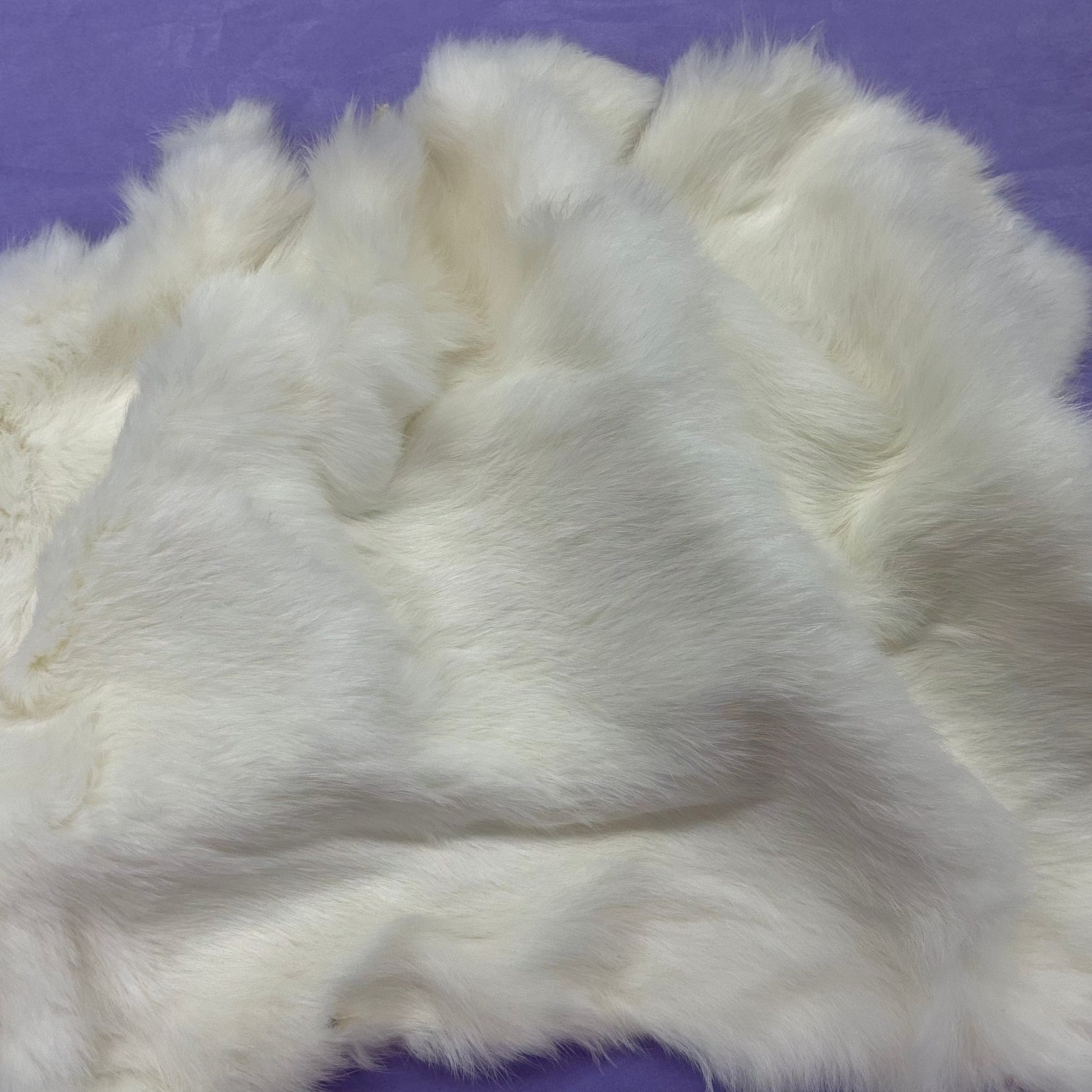 11*15 inch White Rabbit Fur Skin - Medium Grade,  Basics Basics