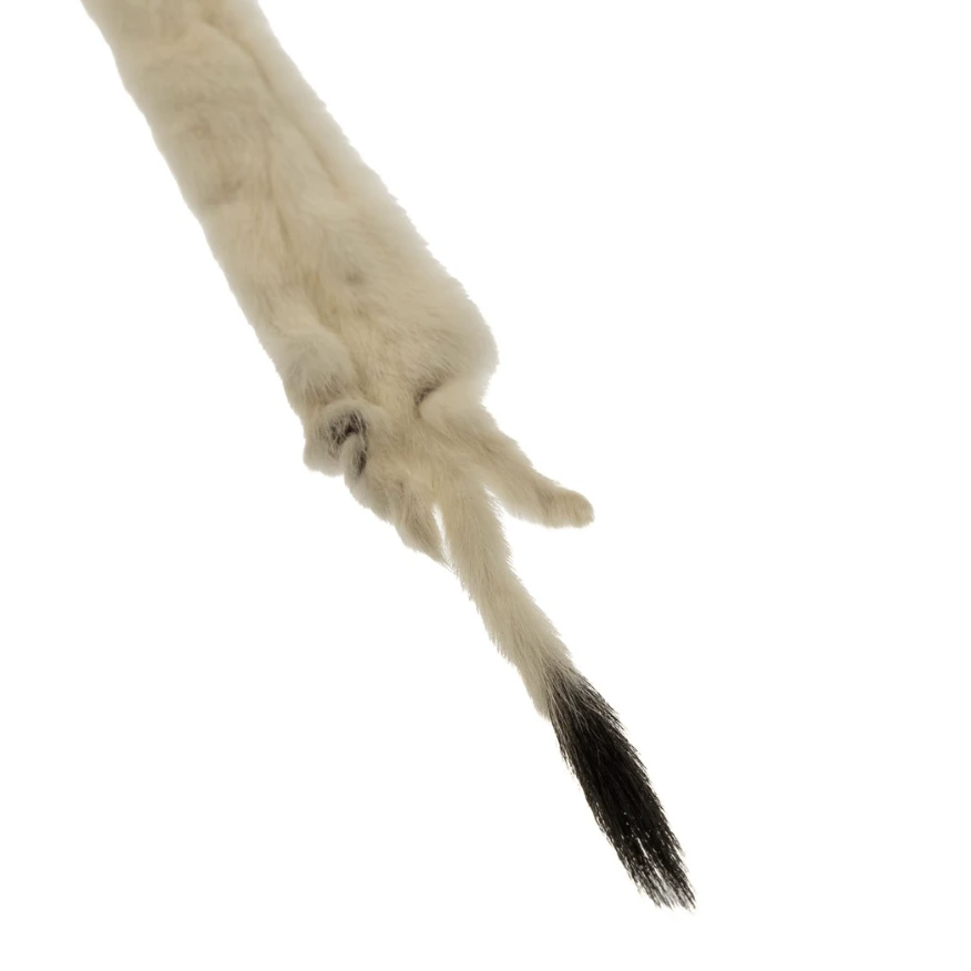 12 inch Ermine Fur Skin - Ivory  Basics Basics