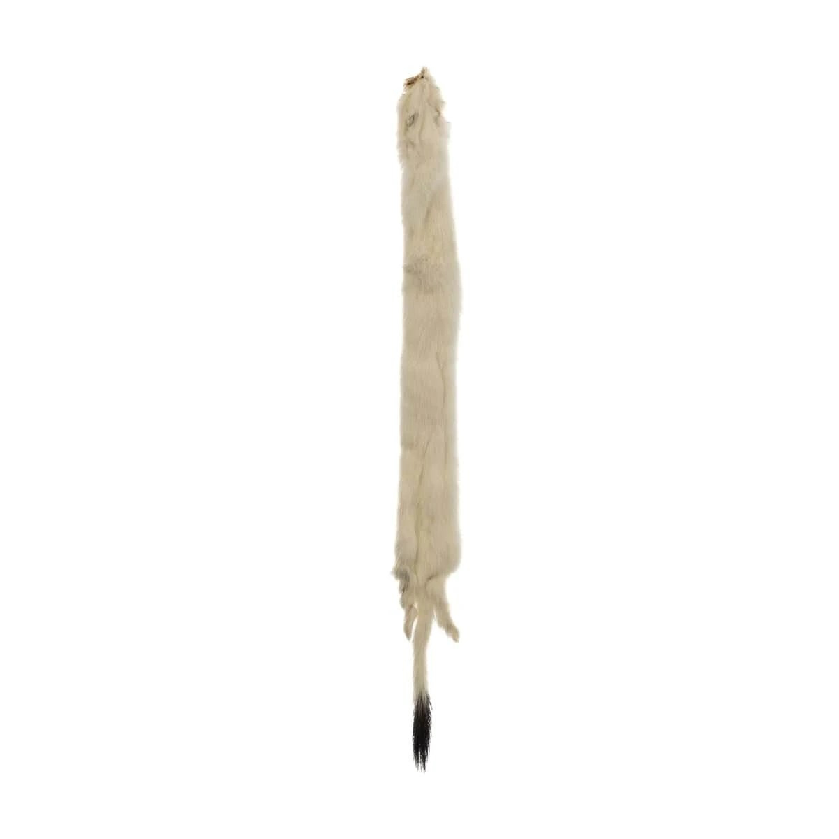 12 inch Ermine Fur Skin - Ivory  Basics Basics