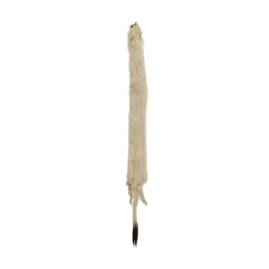 12 inch Ermine Fur Skin - Ivory  Basics Basics