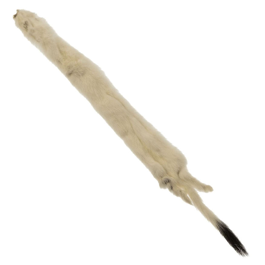 12 inch Ermine Fur Skin - Ivory  Basics Basics