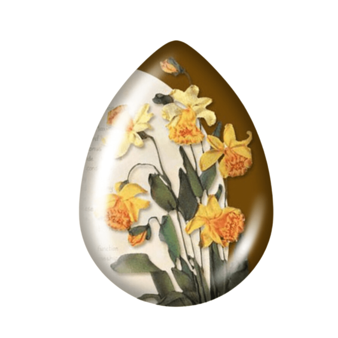 13*18mm Yellow Daffodils flowers & leaves Image in Acrylic Teardrop, Glue on, Resin Gem (Sold in Pair) Resin Gems