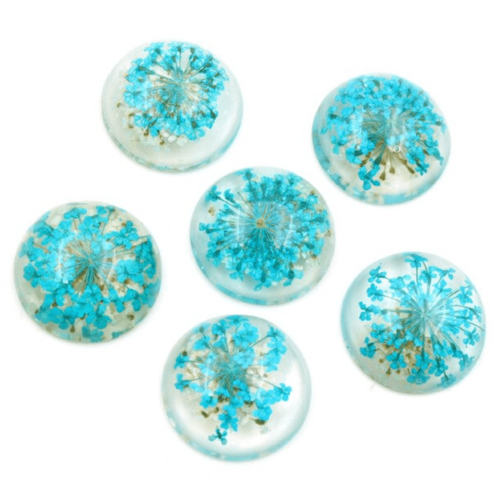 25mm Blue Flower 20mm & 25mm Blue Dried Chrysanthemum Flower in Clear Resin, Glue on, Resin Gem (Sold in Pair) Resin Gems