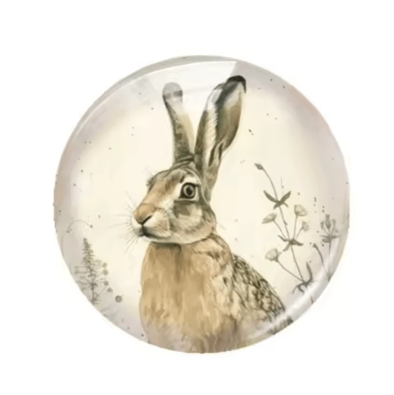 20mm "Rabbit" Cute Cartoon Printed Cab, Glue on, Resin Gems (Sold in pair) Resin Gems