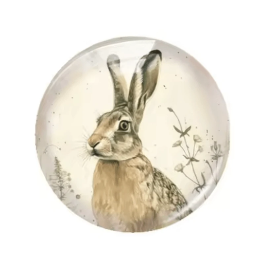 20mm "Rabbit" Cute Cartoon Printed Cab, Glue on, Resin Gems (Sold in pair) Resin Gems