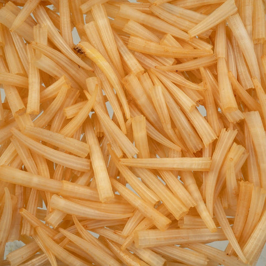 Dentalium Shell Ridged 100pcs/apx.30g 0.5in to 1in Peach Not Water Resistant Sundaylace Creations & Bling