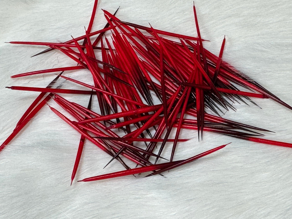 Porcupine Quills - 1g for Quillwork Beading, Basics Caribou Fur