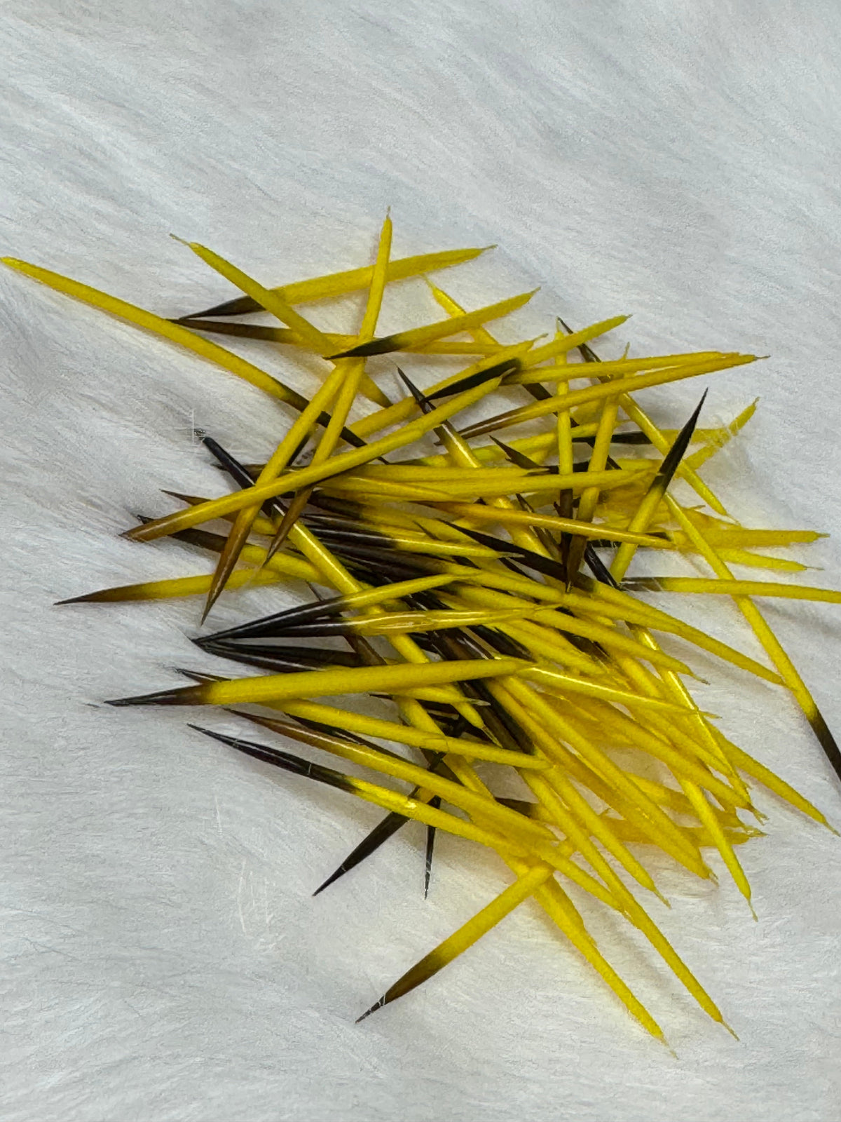 Porcupine Quills - 1g for Quillwork Beading, Basics Caribou Fur