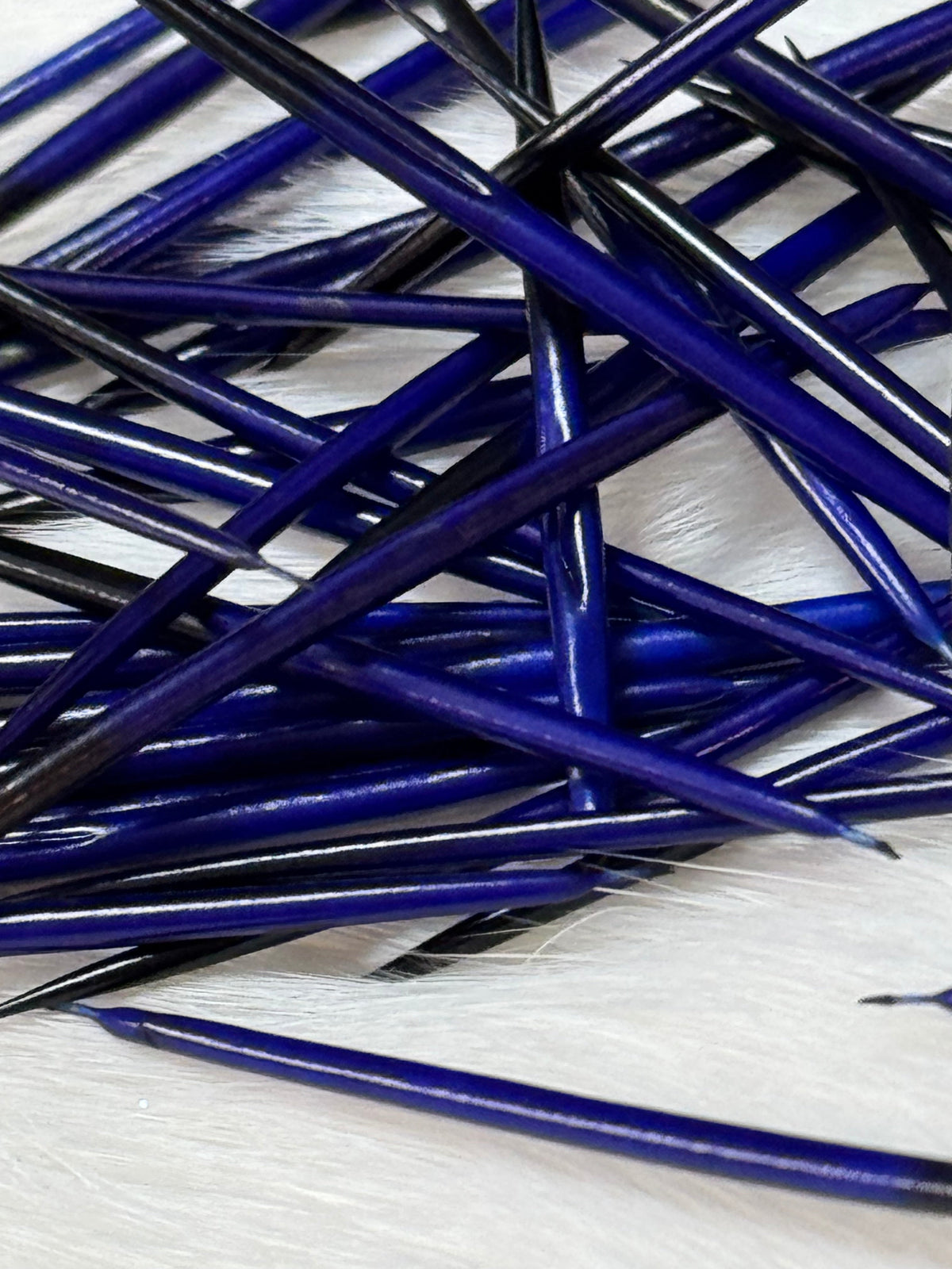Porcupine Quills - 1g for Quillwork Beading, Basics Caribou Fur