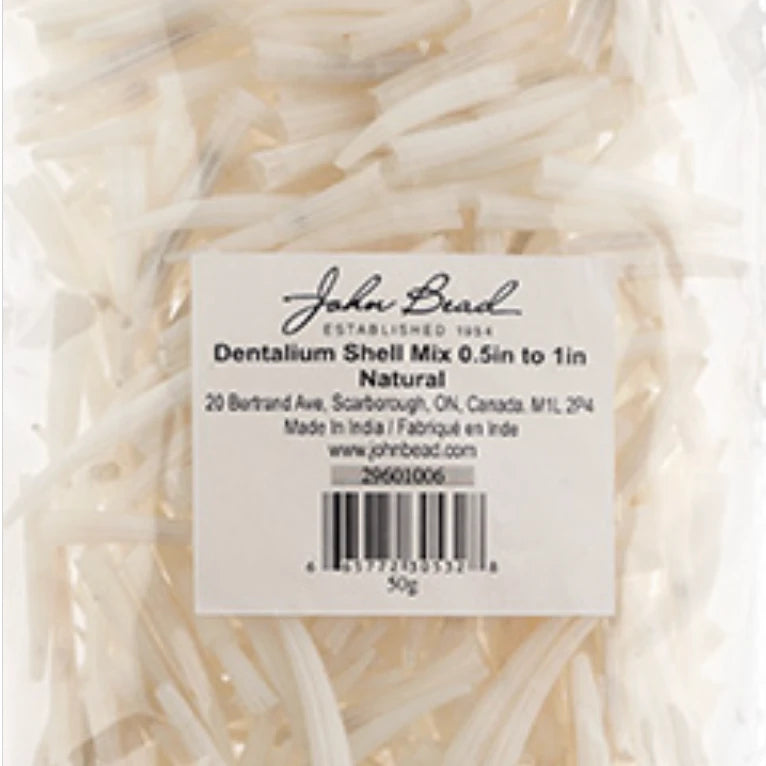 0.5-1" Inch *White/Ivory* Natural Dentalium Shell Smooth Unsorted (50g) Sundaylace Creations & Bling