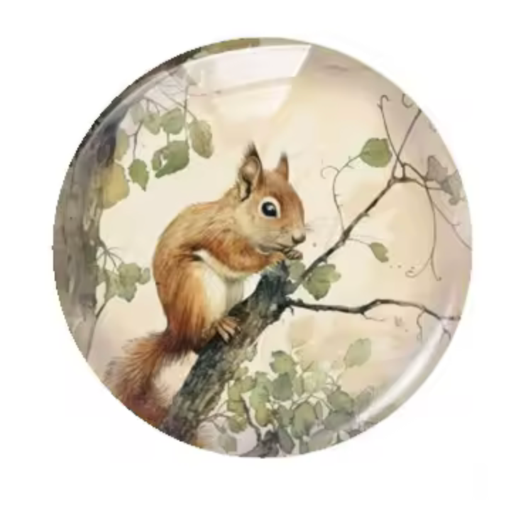 20mm "Squirrel" Cute Cartoon Printed Cab, Glue on, Resin Gems (Sold in pair) Sundaylace Creations & Bling
