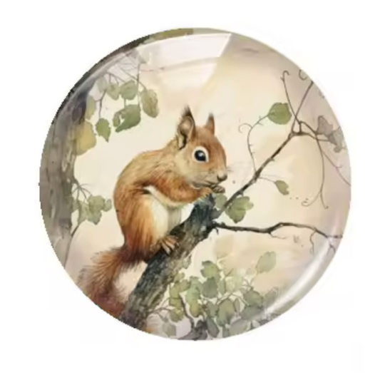20mm "Squirrel" Cute Cartoon Printed Cab, Glue on, Resin Gems (Sold in pair) Sundaylace Creations & Bling