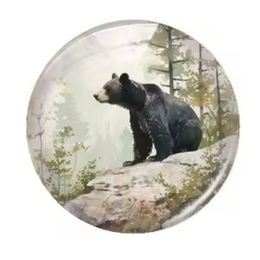 20mm Bear in Woods Cartoon Printed Cab, Glue on, Resin Gems (Sold in pair) Sundaylace Creations & Bling