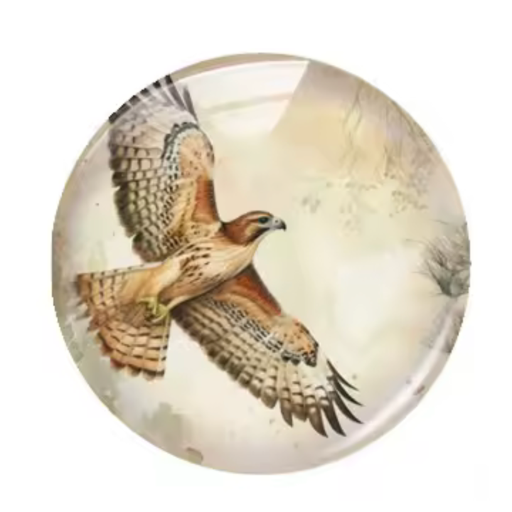 20mm Hank in Woods Cartoon Printed Cab, Glue on, Resin Gems (Sold in pair) Sundaylace Creations & Bling