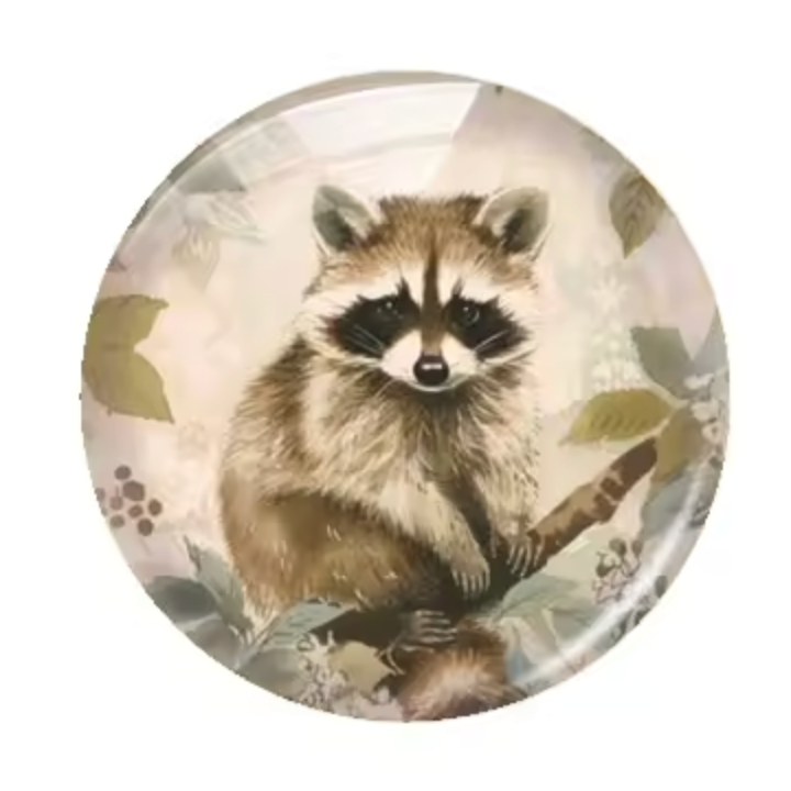 20mm Raccoon in Woods Cartoon Printed Cab, Glue on, Resin Gems (Sold in pair) Sundaylace Creations & Bling