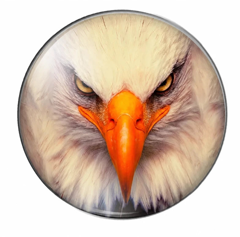 12mm Hawk/Eagle Head Bird Round Acrylic Printed, Glue on, Resin Gem (Sold in Pair) Resin Gems